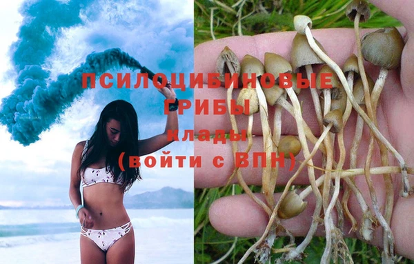 гашик Пестово