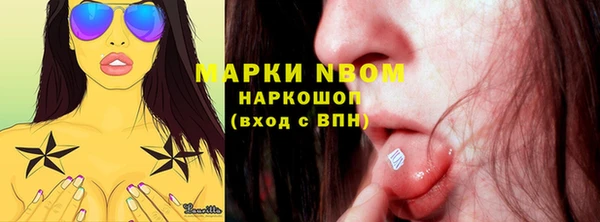 apvp Бородино