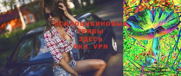 apvp Бородино
