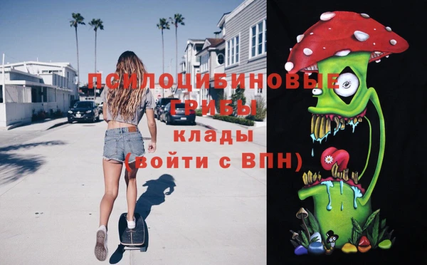 apvp Бородино