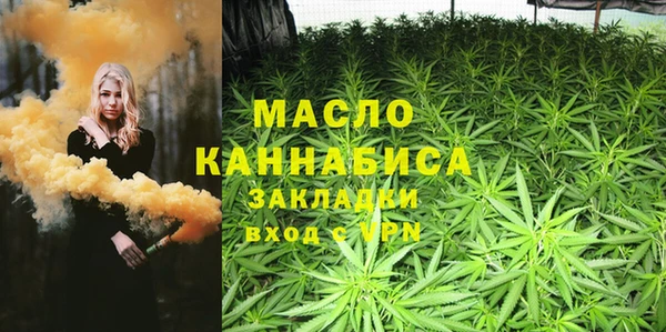 дмт Пересвет