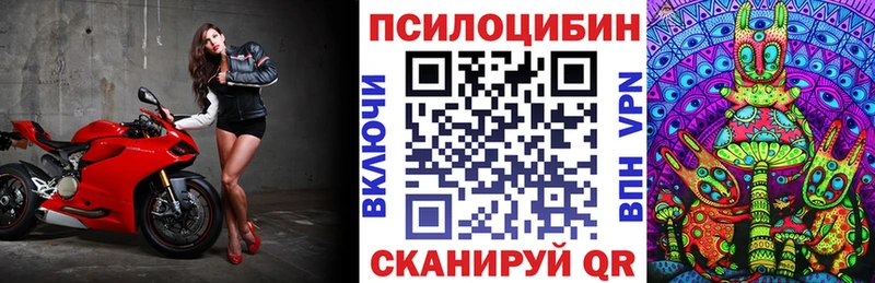 купить наркоту  Десногорск  Галлюциногенные грибы GOLDEN TEACHER 