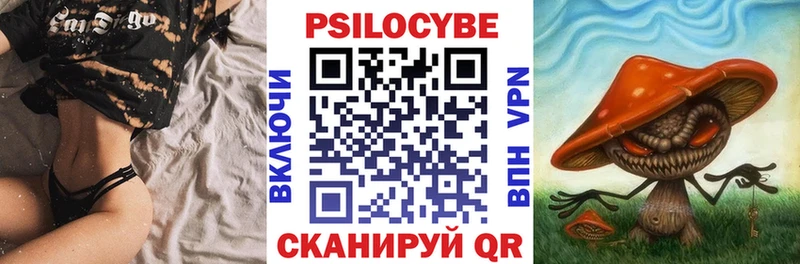 Псилоцибиновые грибы Psilocybine cubensis Десногорск